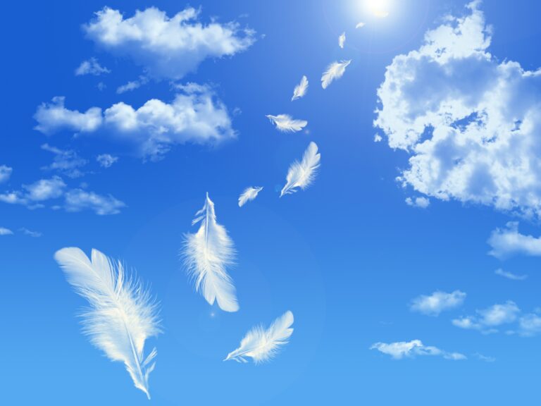 死後事務委任契約_安心感