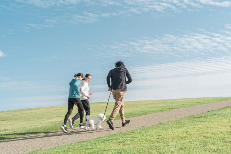 障がい_任意後見_相談
