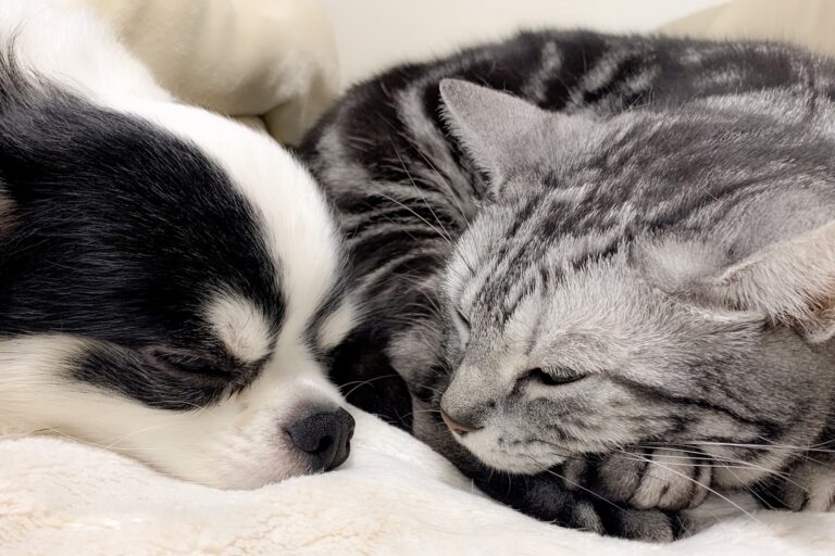 死後事務委任_相談