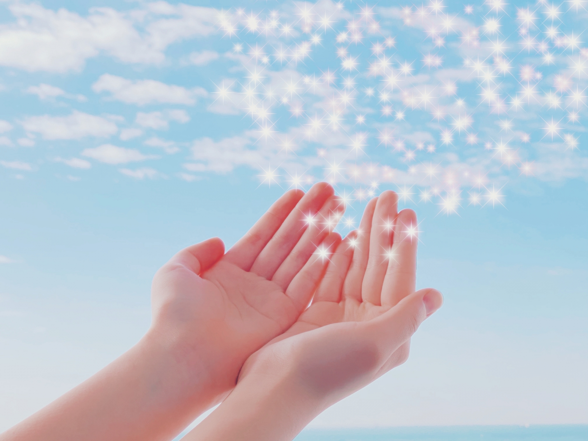 遺言執行者_相続